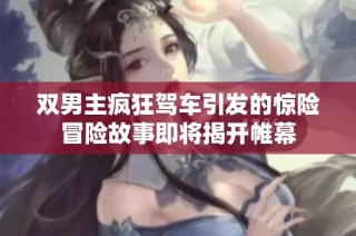 双男主疯狂驾车引发的惊险冒险故事即将揭开帷幕