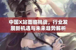 中国X站面临挑战，行业发展新机遇与未来趋势解析