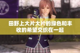 田野上大片大片的绿色和丰收的希望交织在一起