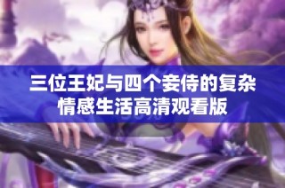 三位王妃与四个妾侍的复杂情感生活高清观看版