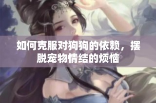 如何克服对狗狗的依赖，摆脱宠物情结的烦恼