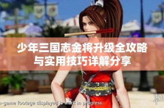 少年三国志金将升级全攻略与实用技巧详解分享