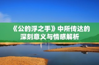 《公的浮之手》中所传达的深刻意义与情感解析