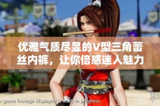 优雅气质尽显的V型三角蕾丝内裤，让你倍感迷人魅力