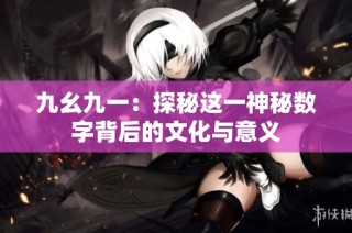 九幺九一：探秘这一神秘数字背后的文化与意义
