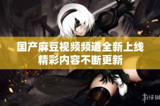 国产麻豆视频频道全新上线精彩内容不断更新
