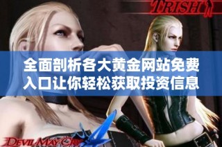 全面剖析各大黄金网站免费入口让你轻松获取投资信息