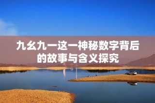 九幺九一这一神秘数字背后的故事与含义探究