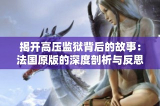 揭开高压监狱背后的故事：法国原版的深度剖析与反思