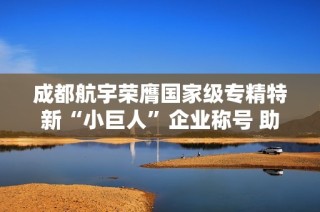 成都航宇荣膺国家级专精特新“小巨人”企业称号 助力成都市经济发展
