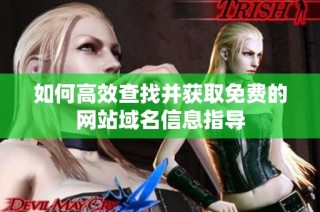 如何高效查找并获取免费的网站域名信息指导