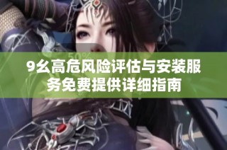 9幺高危风险评估与安装服务免费提供详细指南