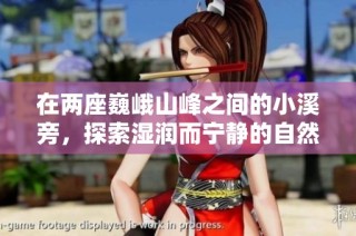 在两座巍峨山峰之间的小溪旁，探索湿润而宁静的自然之美
