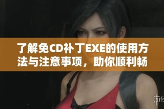 了解免CD补丁EXE的使用方法与注意事项，助你顺利畅玩游戏