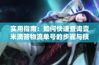 实用指南：如何快速查询壹米滴答物流单号的步骤与技巧