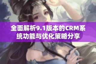 全面解析9.1版本的CRM系统功能与优化策略分享