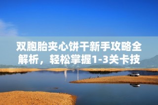 双胞胎夹心饼干新手攻略全解析，轻松掌握1-3关卡技巧