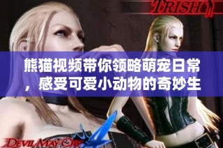 熊猫视频带你领略萌宠日常，感受可爱小动物的奇妙生活