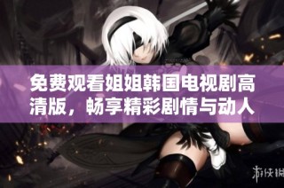 免费观看姐姐韩国电视剧高清版，畅享精彩剧情与动人故事