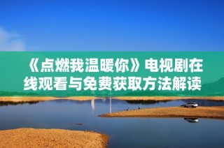 《点燃我温暖你》电视剧在线观看与免费获取方法解读