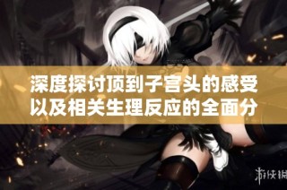 深度探讨顶到子宫头的感受以及相关生理反应的全面分析