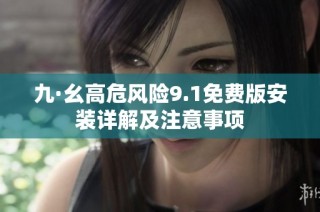 九·幺高危风险9.1免费版安装详解及注意事项