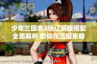 少年三国志2张辽英雄搭配全面解析 助你在三国策略战中迅速崛起