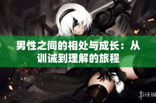男性之间的相处与成长：从训诫到理解的旅程