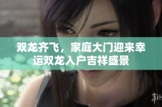 双龙齐飞，家庭大门迎来幸运双龙入户吉祥盛景