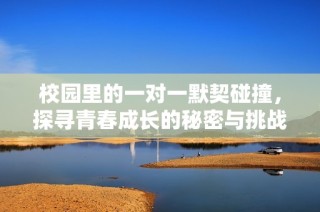 校园里的一对一默契碰撞，探寻青春成长的秘密与挑战