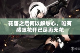 花落之后何以解愁心，唯有感叹花开已尽再无花