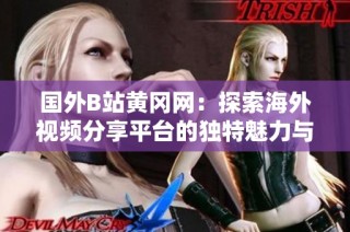 国外B站黄冈网：探索海外视频分享平台的独特魅力与发展趋势