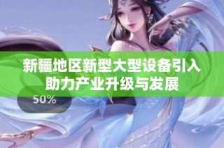 新疆地区新型大型设备引入助力产业升级与发展