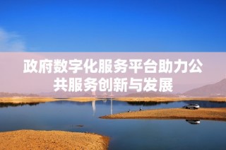 政府数字化服务平台助力公共服务创新与发展