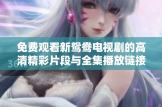 免费观看新鸳鸯电视剧的高清精彩片段与全集播放链接分享