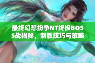 最终幻想纷争NT终极BOSS战揭秘，制胜技巧与策略全面解析!