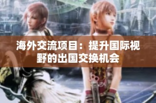 海外交流项目：提升国际视野的出国交换机会