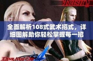 全面解析108式武术招式，详细图解助你轻松掌握每一招