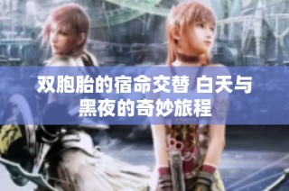 双胞胎的宿命交替 白天与黑夜的奇妙旅程
