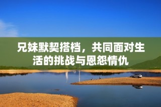 兄妹默契搭档，共同面对生活的挑战与恩怨情仇