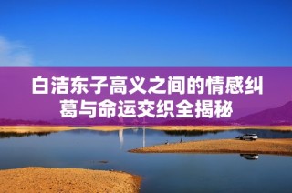白洁东子高义之间的情感纠葛与命运交织全揭秘
