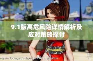 9.1版高危风险详情解析及应对策略探讨