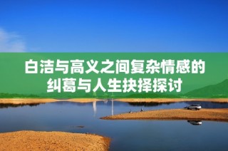 白洁与高义之间复杂情感的纠葛与人生抉择探讨