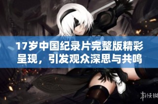 17岁中国纪录片完整版精彩呈现，引发观众深思与共鸣