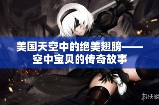 美国天空中的绝美翅膀——空中宝贝的传奇故事