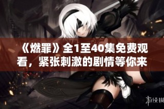 《燃罪》全1至40集免费观看，紧张刺激的剧情等你来追看！