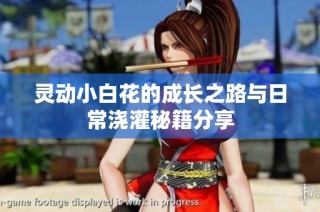 灵动小白花的成长之路与日常浇灌秘籍分享