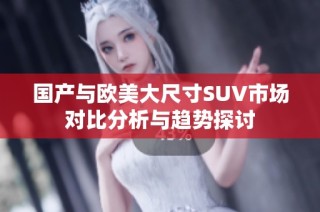 国产与欧美大尺寸SUV市场对比分析与趋势探讨