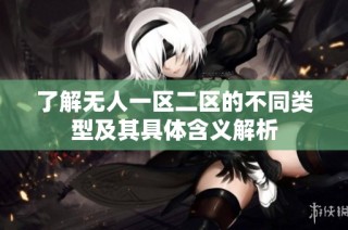 了解无人一区二区的不同类型及其具体含义解析