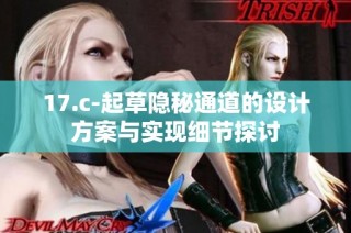17.c-起草隐秘通道的设计方案与实现细节探讨